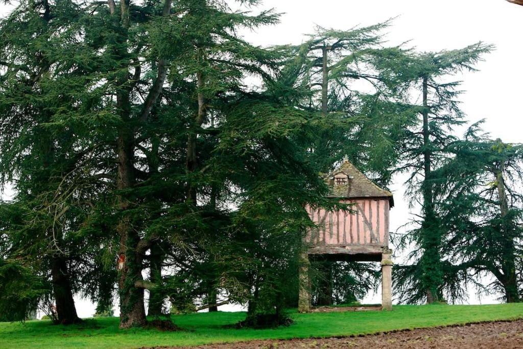 La Chartreuse Maison D Artistes Bergerac Luaran gambar